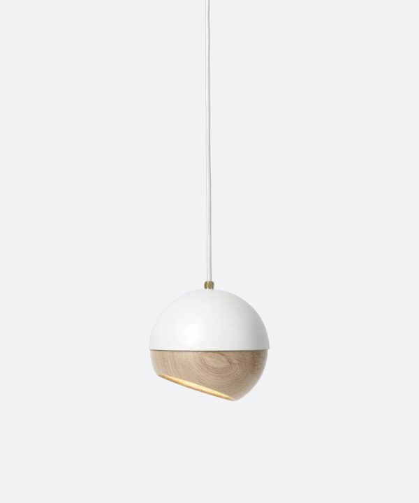 The Globe Pendant Light